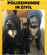 Polizeihunde_in_Zivil.jpg