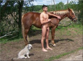 horse c.jpg