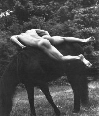 sexy-naked-men-horseriding-22-1a.jpg