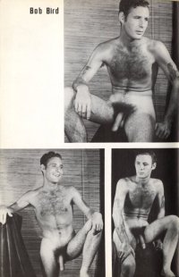 THEFT  'Male Pix' 1969 Freddie Shields.jpg
