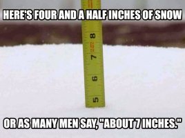 four-and-a-half=seven-inches.jpg