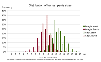 Human_penis_sizes.svg.png