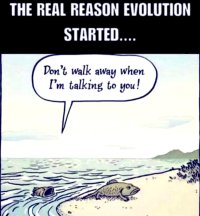 0-real-reason-evolution.jpg