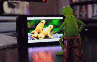 Kermit-froggy-porn.gif