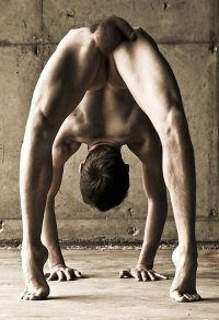 yogo.jpg