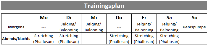 Trainingsplan.png