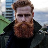Ginger-Beard.jpg