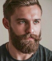 wonderful-hair-stylist-to-best-25-beards-ideas-on-pinterest-beard-styles-beard.jpg