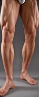WORKOUT-Muscular-Legs-Male.jpg