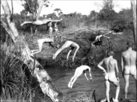 RAAF_1943_swimming_nude.jpeg.jpeg.jpg