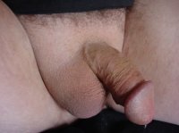 shaved-small-dick.jpg