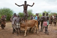 0020-Ethiopia-Omo-Valley-Hamar-Tribe-Young-Man-Nudity-Cattle-Jumping-Rituals-2015.jpg