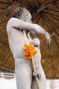 hindu-saint-naga-baba-shivdasgiri-warping-penis-with-trishul-rod-in-EXMJ6P.jpg